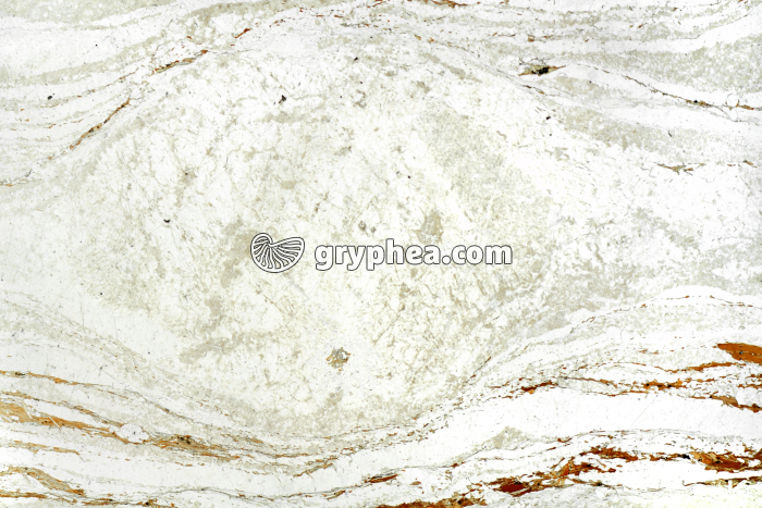 Gneiss oeillé LPNA x1,5 - gryphea.org